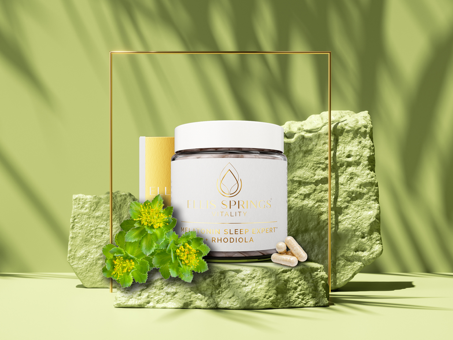 Melatonin Sleep Expert * + Rhodiola Melatonin Sleep Expert * + Rhodiola